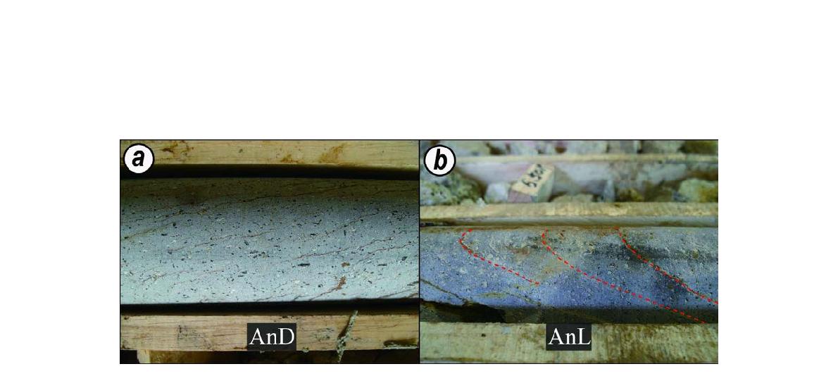 High angle flow joint within (a) the andesitic dyke (Drill hole 35-5) and (b) andesitic lava (Drill hole 35-4)