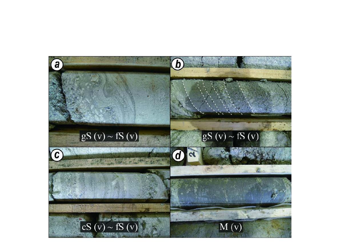 (a) Sandstone with inverse grading texture. It also shows lamination or pumice train (Drill hole 35-8). (b) Sandstone with normal grading (Drill hole 35-11). (c) Sandstone with normal to inverse grading (Drill hole 35-8). (d) Mudstone contains dacitic tuffaceous material (Drill hole 35-6)