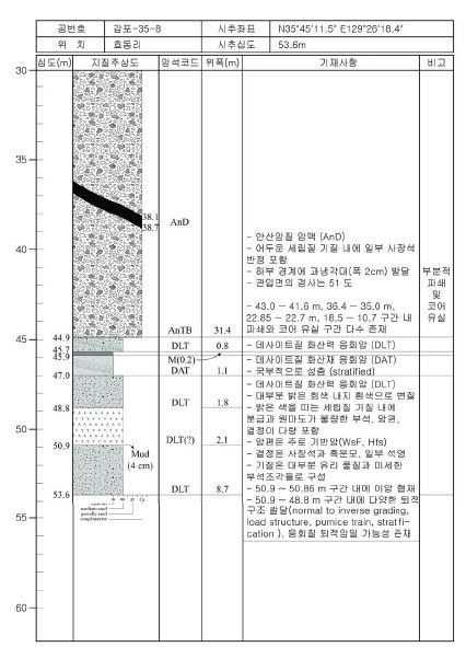 감포35-8 주상도