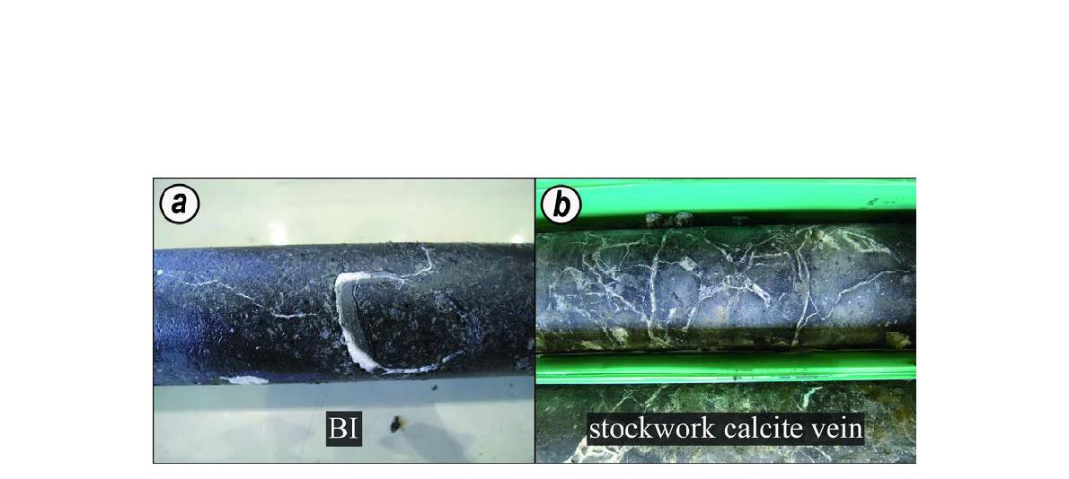 (a) Basalt contains a lot of plagioclase phenocrysts with 1 to 5 mm in size (Drill hole 32-3). (b) Basaltic dyke cut by stockwork calcite veins (Drill hole 32-3)