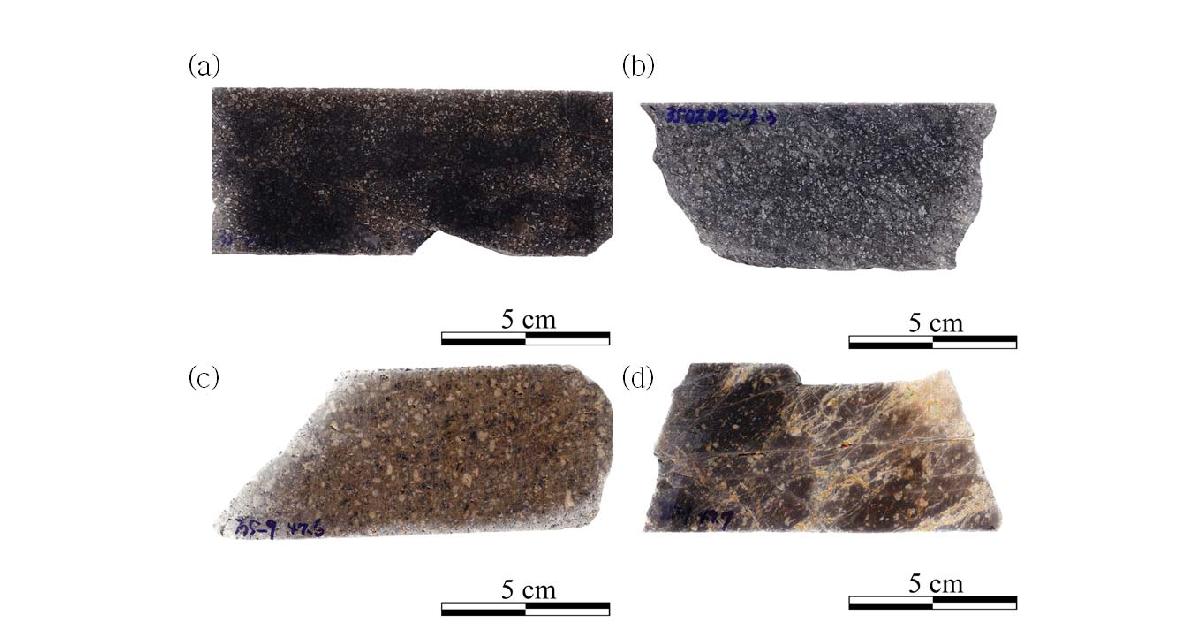 Representative handspecimens showing the various rock types.