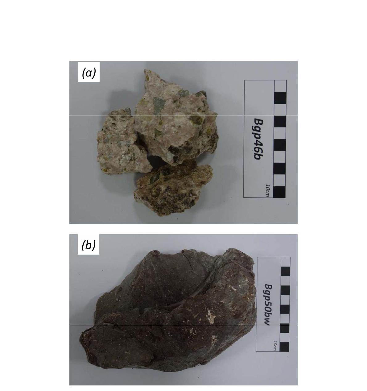 양북면 일대에서 채취한 연구 표품의 암석 사진 (a) Bgp46b; (b) Bgp50bw