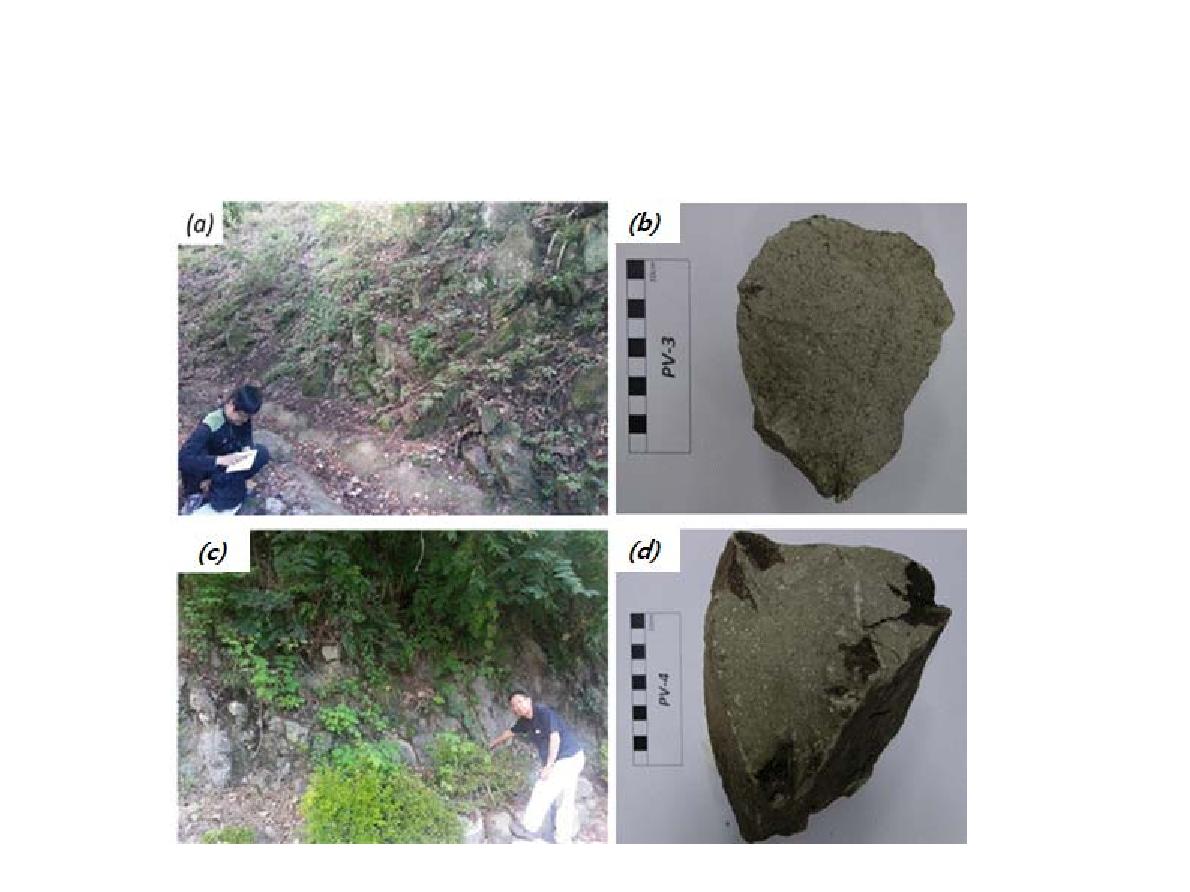 양북면 일대에 분포하는 (a), (b) 표품 PV-3의 노두 사진과 암석 사진; (c), (d) 표품 PV-4의 노두 사진과 암석 사진