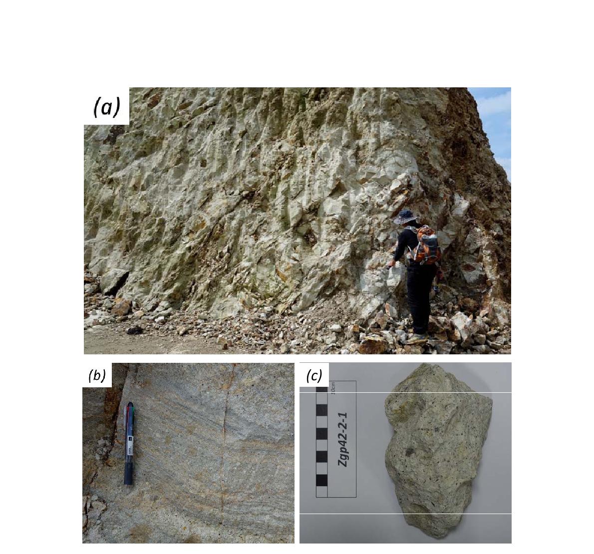 양북면 일대에 분포하는 (a), (b) 표품 Zgp42-2-1의 노두 사진; (c) 암석 사진
