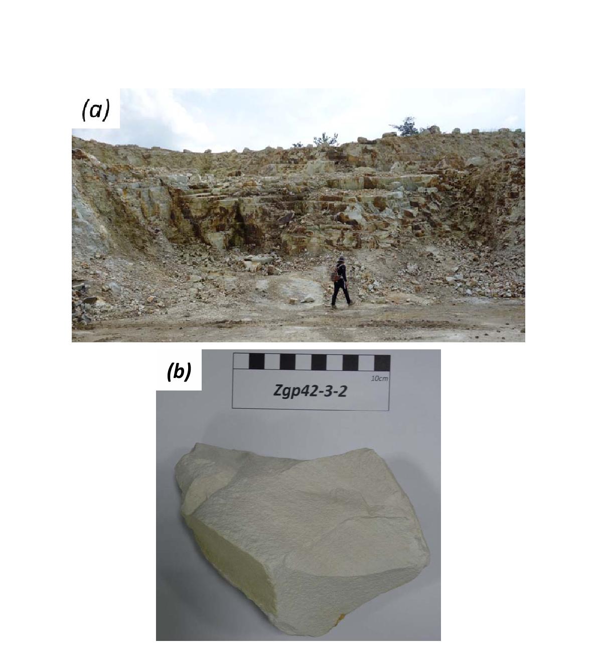 양북면 일대에 분포하는 (a) 표품 Zgp42-3-2의 노두 사진; (b) 암석 사진