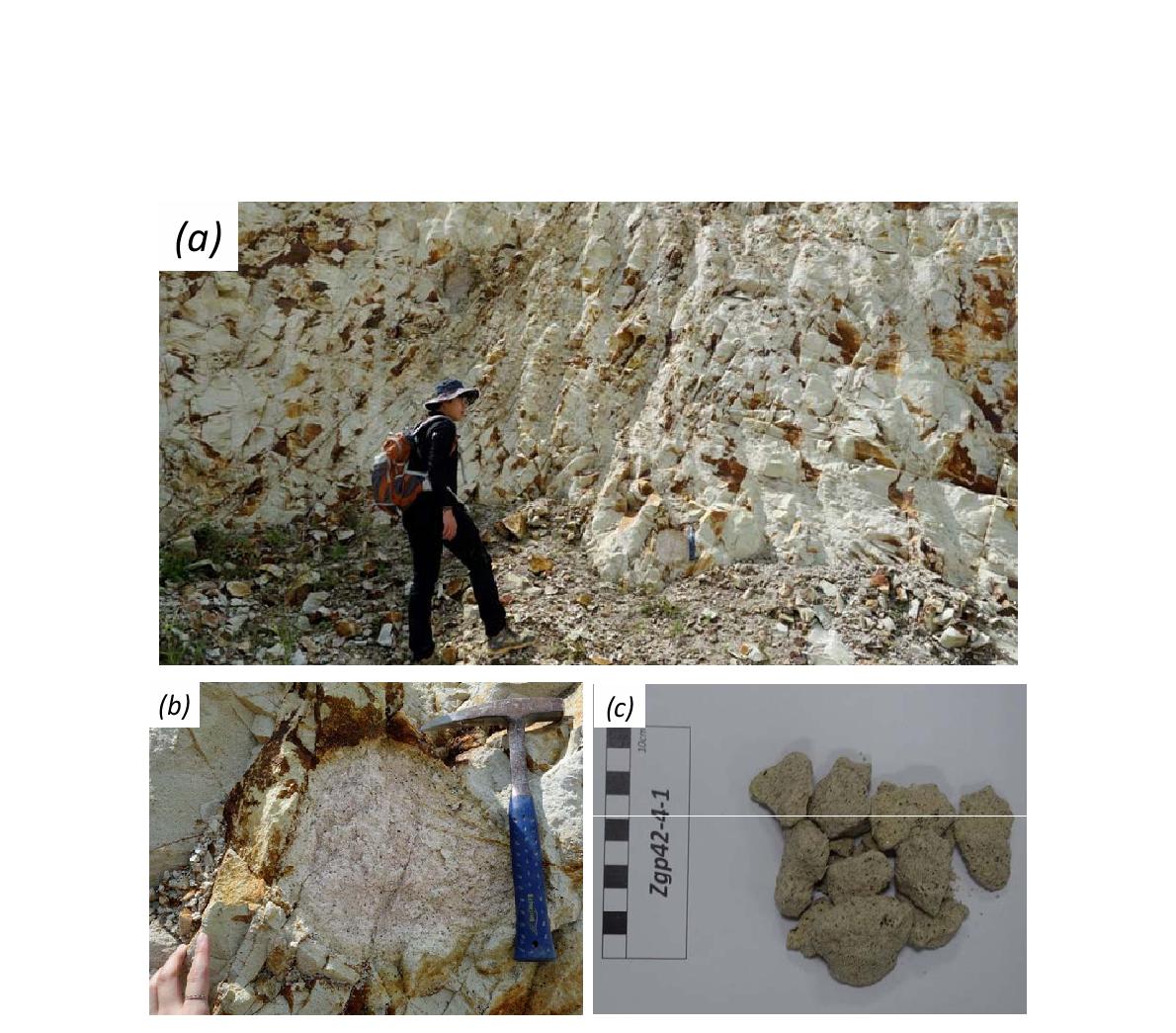 양북면 일대에 분포하는 (a), (b) 표품 Zgp42-4-1의 노두 사진; (c) 암석 사진