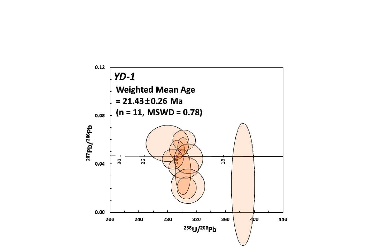 Terra-Wasserburg concordia diagram에 나타낸 용동리응회암 YD-1의 SHRIMP U-Pb 연대