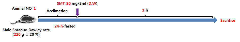 1번 동물 - 칼슘 스멕타이트(SMT)를 증류수에 30mg/2mL 농도로 녹여 경구투여 후 1시간 뒤 부검하여 위 도포 상태를 확인
