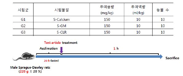 3가지 시료(S-Calcium, S-GM, S-CLR)에 대한 위벽 도포 효과 분석