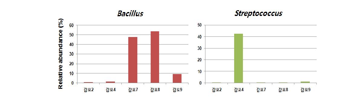 각 샘플에서의 식품으로 사용가능한 미생물의 분포 정도