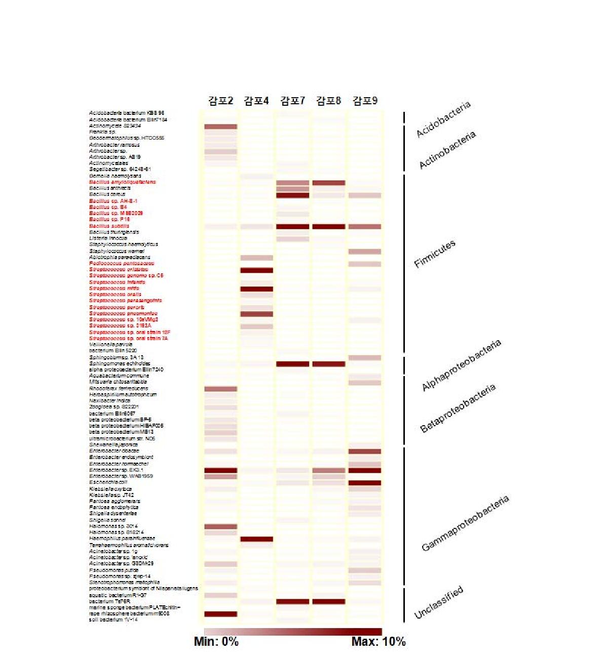 각 샘플에서의 주요 미생물의 양을 시각화한 heatmap 분석 결과