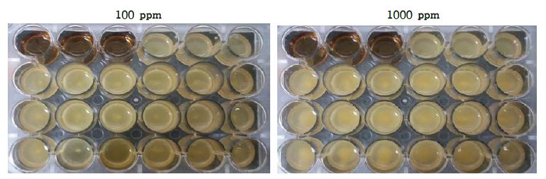 주관기관 제공 6종 점토광물이 Lactobacillus fermentum KFRI 164 균주의 생육에 미치는 영향.