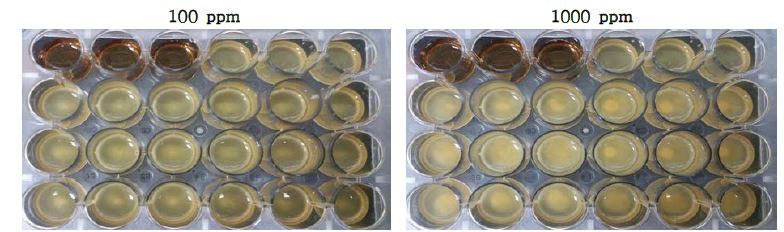 주관기관 제공 6종 점토광물이 Lactobacillus gasseri KFRI 1092 균주의 생육에 미치는 영향.