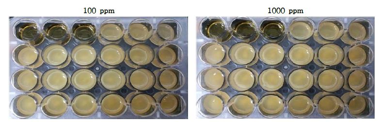 주관기관 제공 6가지 점토광물이 농도에 따라 Lactobacillus fermentum MRSA-F5-2 균주의 생육에 미치는 영향.