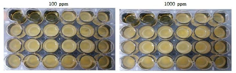 주관기관 제공 6종 점토광물이 Lactobacillus pentosus KFRI 1183 균주의 생육에 미치는 영향.