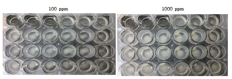 주관기관 제공 6종 점토광물이 Saccharomyces cerevisiae KFRI 628 균주의 생육에 미치는 영향.