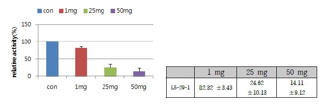 점토광물 bgp35b-p-Mg의 농도에 따른 장류유래 Kocuria salsicia L5-29-1균주의 protease activity