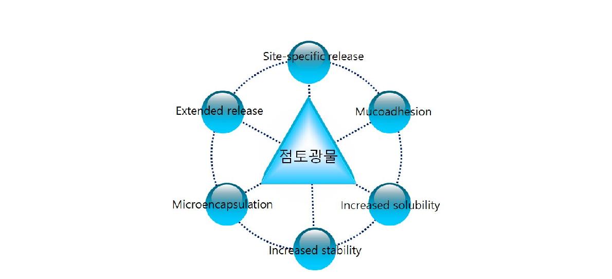 약물전달체로서 점토광물 사용 시 얻을 수 있는 물리약학적 이점
