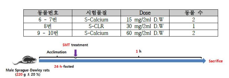 6~10번 동물 - 시험물질을 증류수에 녹여 경구 투여 후 1시간 뒤 부검하여 위 도포 상태를 확인함.