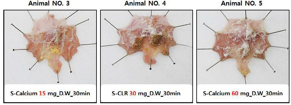 S-Calcium 15 mg, S-CLR 30 mg, S-Calcium 60 mg 경구 투여 30 min 후 위 내벽 도포 상태