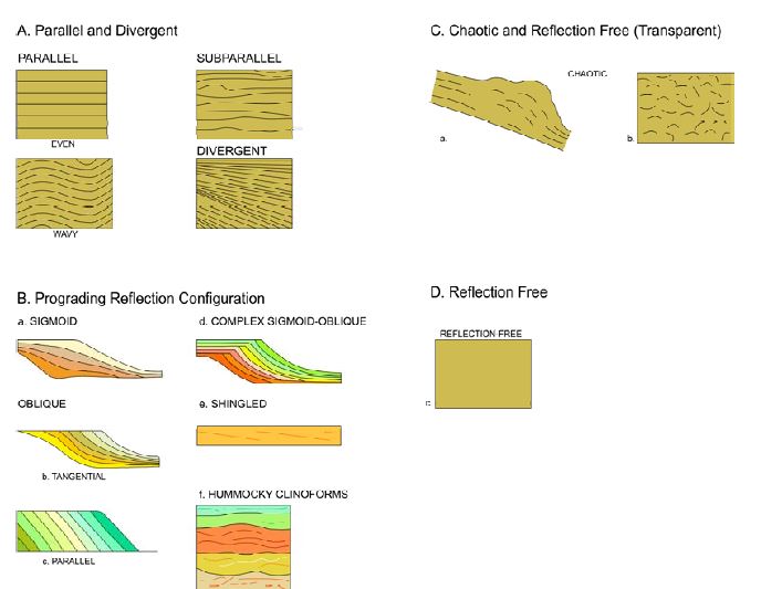 Reflection group used in seismic facies analysis