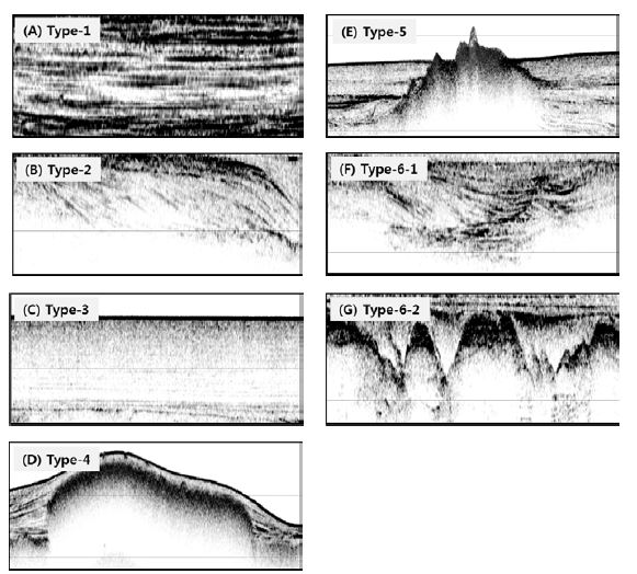 High-resolution chirp profiles showing several seismic facies divided in the study area