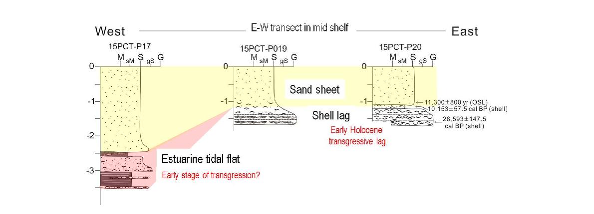 The east-west transect of core logs taken from middle shelf