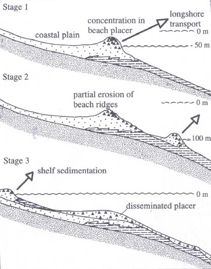 Conceptual model for the origin of disseminated placer deposits with light heavy minerals on the shelf during medium, low, and high sea level