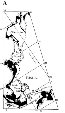 West Pacific continental shelves