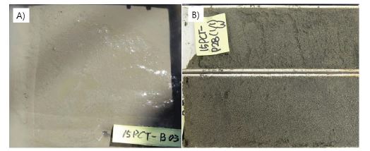 Dominant surface sediment types. Muds in inner shelf (A) and sands in outer shelf (B)