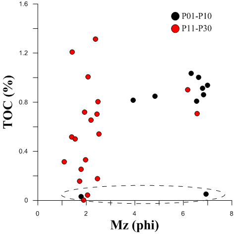 Relationship between mean grain size (phi) and TOC (%) in surface sediments.
