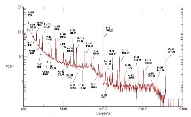 HPGe 검출기를 이용하여 7200초 동안 실험실 백그라운드를 측정한 감마선 스펙트럼