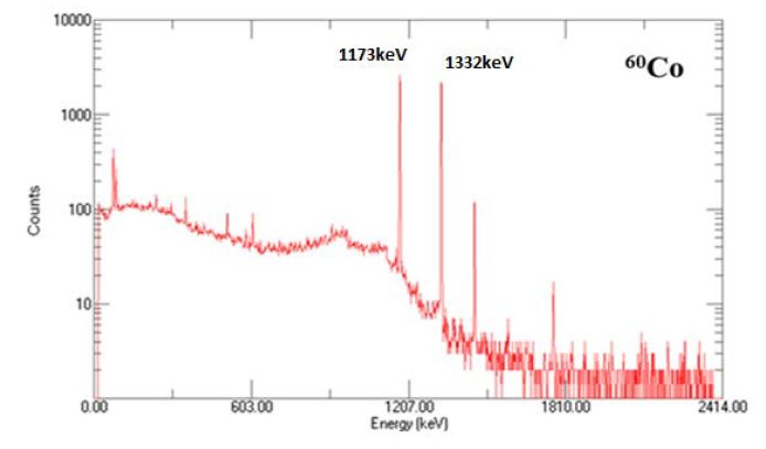 HPGe 검출기를 이용하여 백그라운드 차폐 없이 60Co를 600초 동안 측정한 감마선 분광 스펙트럼