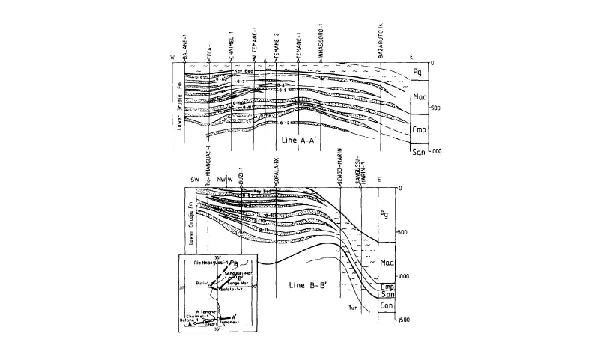 Schematic cross-section of the Lower Grudja Formation in the Mozambique Basin. The lower Grudja Formation is represented by clay with horizons of glauconitic, quartzitic sand deposited in shallow shelf environment. The sandy/shaly character is displaced by Senomanian/Maastrichitan marl to the east
