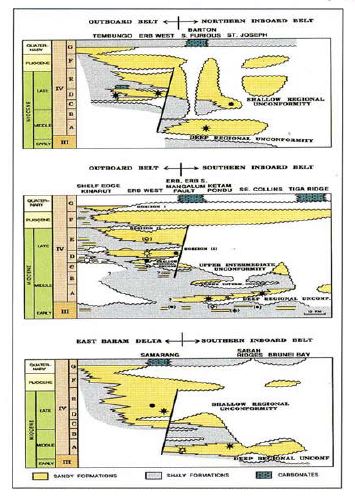 Schematic illustration of the stratigraphy of several east-west tracts of the Sabah basin. Modified from Shell