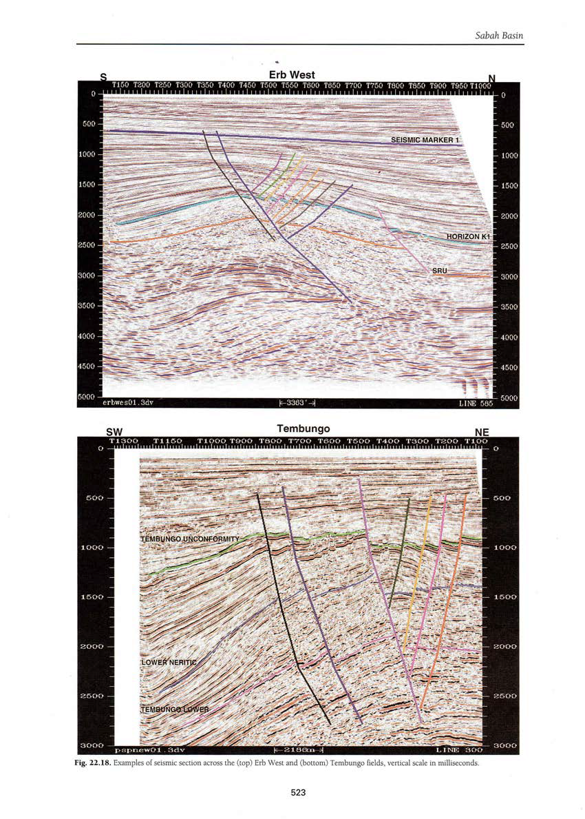 Examples of seismic section across the Erb West (TOP) and Tembungo field