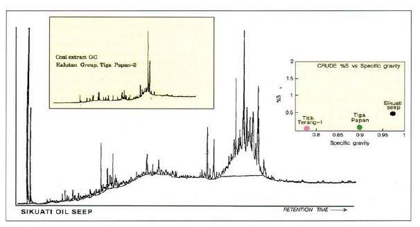 Gas chromatograph of a sample from the Sikuati oil seep.