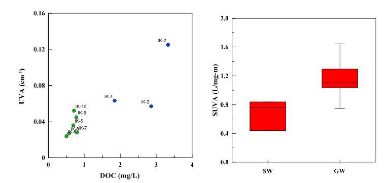 용존유기탄소 함량과 흡광도의 상관관계 및 지표수‧지하수의 SUVA 분포