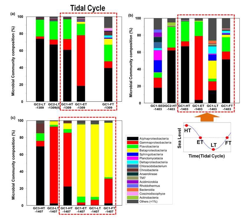 조석에 따른 연안해수의 미생물 군집 분포 변화