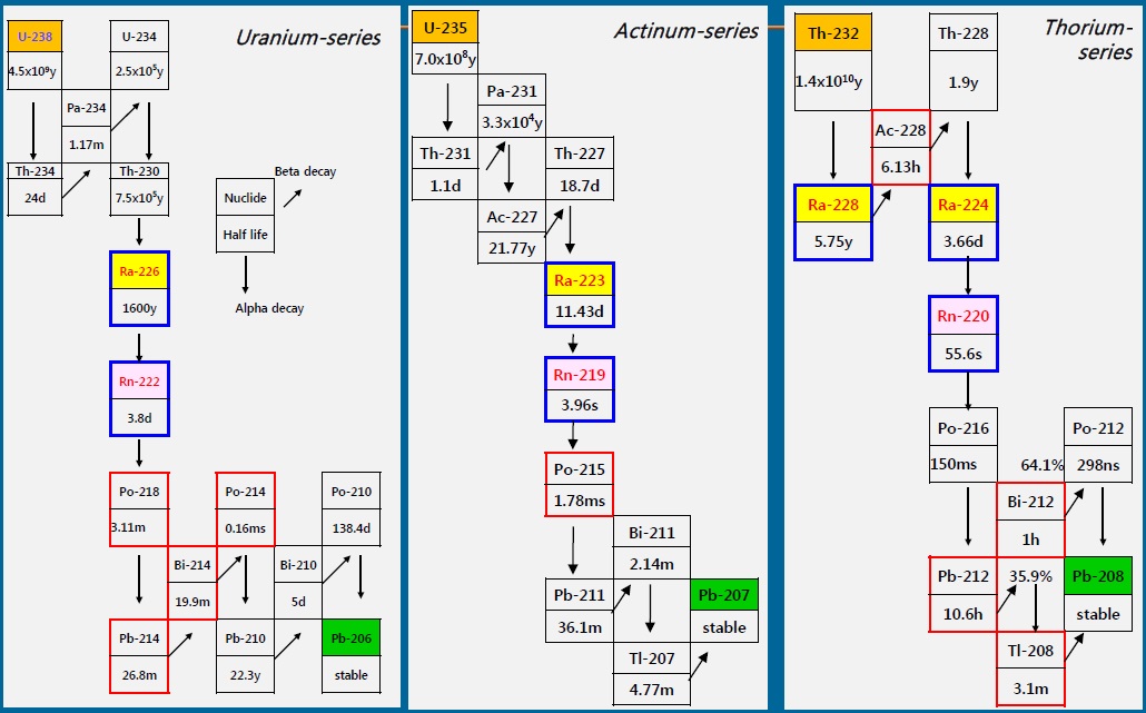 Natural decay series of uranium and thorium.