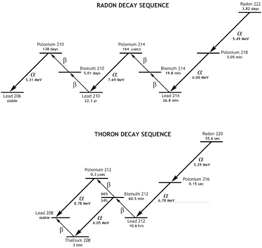 Decay chains of Rn-222(upper) and Rn-220(Thoron, lower).