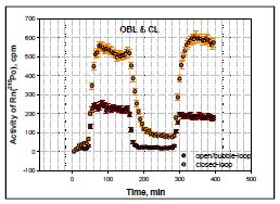 Resolution of radon activity at the groundwater-surface water interface using continuous monitoring system by air-loops.
