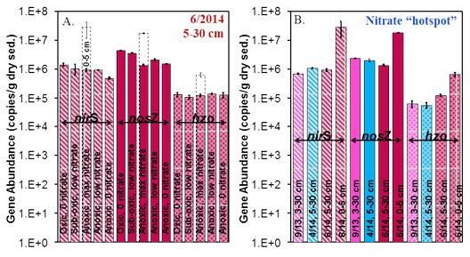 A) Functional gene abundance in deep (5-30 cm) collected along a transect out into the lake along which dissolved, nitrate, and ammonium concentrations in groundwater varied. Functional gene abundance in shallow (0-5 cm) sediments also shown at two locations. Sediments were collected in June 2014 along transect shown in figure Potential rates deep. B) Functional gene abundance in deep (~5-30 cm) sediments at the location where anoxic groundwater with the highest nitrate concentrations was discharging in September 2013, April 2014, and June 2014 (shows both shallow, 0-5 cm, and deep, 5-30 cm, sediments).