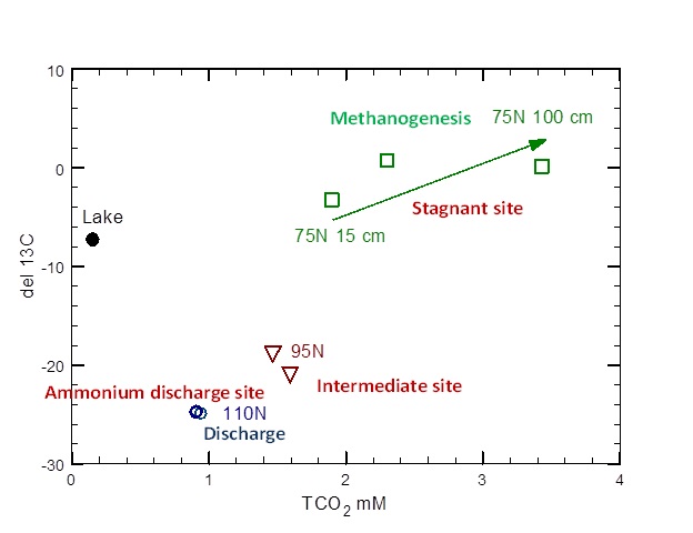 δ-13Cplottedagainstthetotaldissolved carbon dioxide concentration for samples collected at the ammonium discharge, stagnant, and the intermediate sites as well as the lake water.