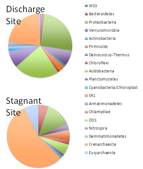 Microbial community composition in sediments from the Stagnant site (5-30 cm, collected in September 2013) and a site where anoxic, nitrate-contaminated water was discharging (5-30 cm, collected September 2013).