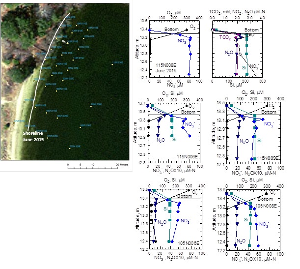 A) Map showing grid points used to identify sampling locations in June 2015. Vertical profiles of pore-water chemistry under the lake at site 115N008E (B), 115N006E (C), 115N009E (D), 105N006E (E), and 104N008E (F). Sample above the lake bottom came from the lake and is the same for each site.