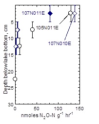 Potential denitrification rates vs. depth below lake bottom determined on sediment samples from various locations in the nitrate discharge area (see Figure 15vps A for locations).