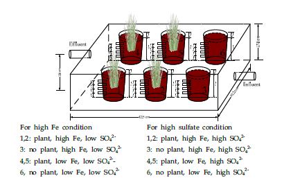 Schematic diagram of green house mesocosms.