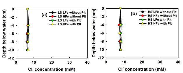 Depth profiles of chloride under low SO4 2-(a) and high SO4 2-(b)treatments after exposure to 55 μM As(V) for 54 days