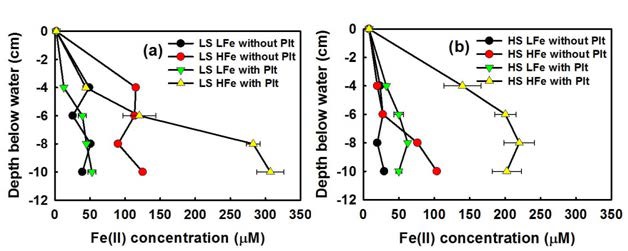 Depth profiles of Fe(II) under low SO42-(a) and high SO4 2-(b) treatments after exposure to 55 μM As(V) for 115 days